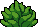 Bush